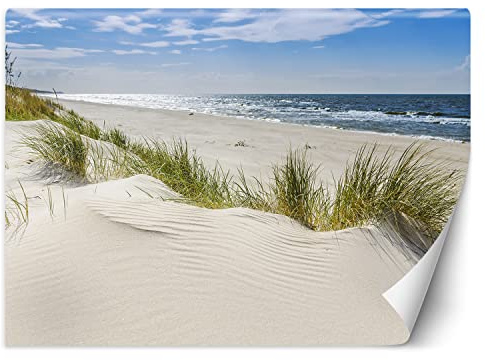 Feeby Carta Da Parati Sabbia Dune Spiaggia 350x245 cm beige XXL Decorazione Fotomurali Tessuto Non Tessuto Soggiorno Camera da letto Moderne Design Onde Cielo Mare