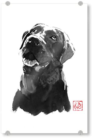 artboxONE Acrylglasbild 30x20 cm Tiere Großer schwarzer Hund Bild hinter Acrylglas - Bild Hund Japan Sumie