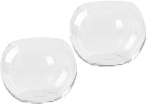 Ciieeo Hydroponisches Pflanzenhalter-glasvase Für Desktop-Dekoration Transparenter Blumenbehälter Kreatives Ornament Für Zuhause Büro Und Hotel
