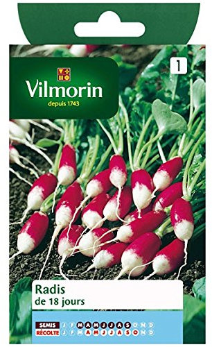 Vilmorin - Radis de 18 jours
