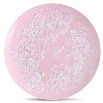 Servizio di piatti Piatto da cena piastra ceramica creativa Set Set di piastra di ceramica per uso domestico Piatto di riso Piatto di riso Piatto per la colazione Piastra profonda Servizio da tavola