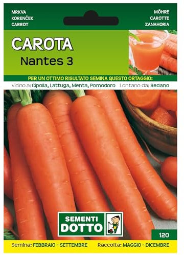 Sicignano | Semi Carota Nantes 3. Busta Extra - 4 Confezioni da 5g, Radice Cilindrica Medio Lunga Rosso Arancio