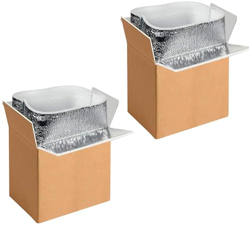 2 Pack Insulated Shipping Boxes with Aluminum Foil Liner,Thermal Insulation Cold Pack Shipping Boxes for Frozen, Reusable Styrofoam Cooler Box, Small Mailing Box, 6’’X5’’X9’’