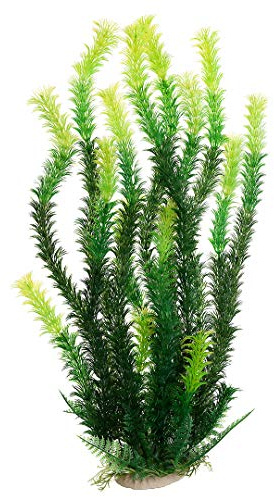 Mayitr 17 Plastic Water Plant for Aquarium Fish Tank Ornament, Rhodo Green