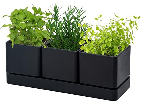 D'vine Dev Herb Garden Planter Set, Plastic Plant Pots with Drainage and Saucer, Indoor Succulent Cactus Vegetable Pot for Windowsill, Garden Balcony, Black, Set of 1, 76-V-B-1 | Sleek Minimalist Style, Window Herb Garden Solution, Drainage Hole, Fitting Saucer, Durable Build for Herbs and Small Plants