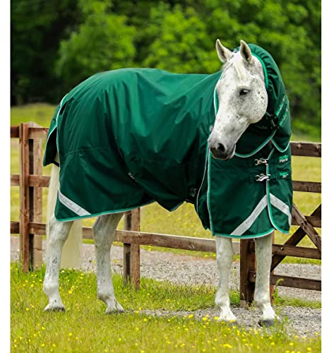 wasserdichte Outdoor-Decke für Pferde mit Halsabdeckung Premier Equine Buster 200 g