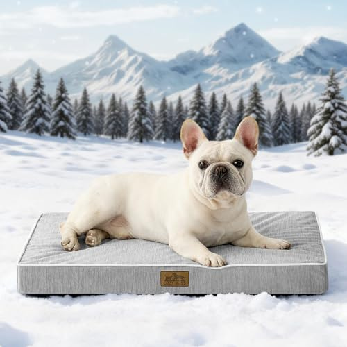 COZY KISS Kühlendes Hundebett für Mittelgroße Hunde, Q-Max>0.4 Waschbare Kühlmatte Hunde Mit Gel Orthopädische Schaum, Atmungsaktive und abnehmbare Hundematte, rutschfest, 76X51x7.5cm, Silbergrau