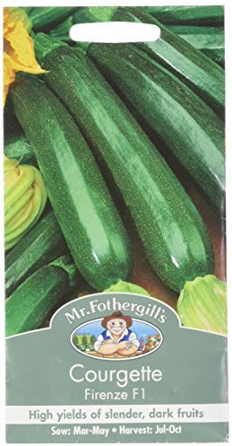 Mr Fothergill's 21780 Vegetable Seeds, COURGETTE Firenze F1
