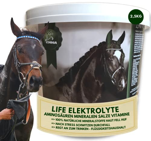 Pferde Elektrolyte Pulver + Aminosäuren komplex I Elektrolyt Pulver Kalium Natrium Calcium Magnesium Elektrolyten Aminosäuren Pferd I Elektrolyte Pferd Hydraid bei Durchfall Kotwasser Schwitzen 2,5Kg