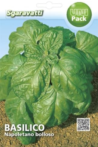 SEMI BASILICO NAPOLETANO SEMENTI ORTO PROFESSIONALI SEEDS BASIL SEMILLAS ALBAHACA GRAINES BASILIC SEMEN BASILIKUM