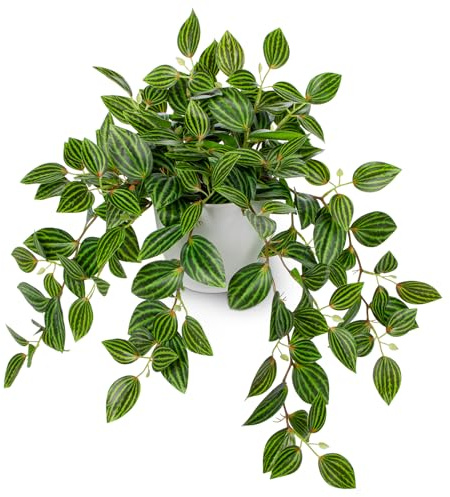 Briful Artificial Plants Indoor Fake Potted Silk Plants Faux Watermelon Peperomia Draping Plant for Home Office Bathroom Shelf Cabinet Tabletop Decoration(Green - 1 Pack)