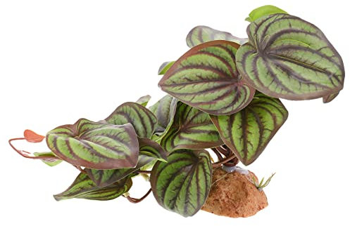 Yardwe 1 Fausses Plantes pour Reptiles Décoration pour Terrarium Base Stable Offre Un Refuge Naturel pour Lézards Tortues et Autres Reptiles en Terrarium