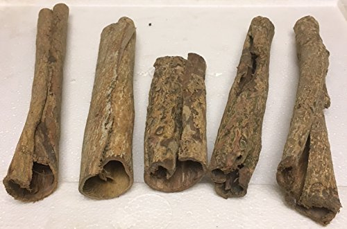 Catappa-Leaves 5 skurrile Höhlen für natürlich gesundes Wasser, Aquarium Dekoration vom asiatischen Seemandelbaum/Marke (Größe 2 von 4) Aquaristik Naturprodukte
