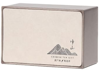ULTRAWAVE Boîtes À Thé Récipient de Stockage de thé en Vrac rétro, boîte de Conserve carrée, boîte Vide, boîte de Rangement d'assaisonnement de Cuisine, boîte Simple for Service à thé Bocal À Thé(E)