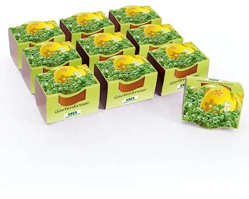Bull & Bear Mini Pflanzset Gartenkresse Samen 10er Set, 10 Tontöpfchen mit Kressesamen, Pflanzsubstrat und Pflegeanleitung