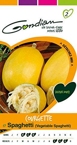 Gondian 152395 CP 2 Semences Courgette Spaghetti Jaune 1 x 8,1 x 16 cm