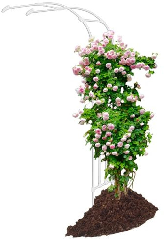 Rosenbogen Halbrund Schwer Gartenbogen Romantischer Stabil Rosenbogen Edelstahl Torbogen Für Kletterpflanzen, Jasmin Hochzeitsbogen(Weiß,120cm x 240cm/3.9ft x 7.9ft)
