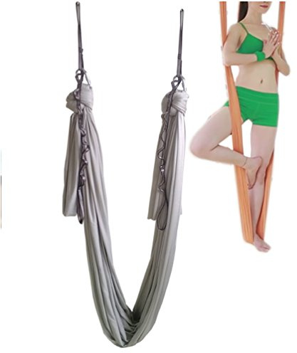 WELLSEM Aerial Yoga Hammock 5.5 Yards Aerial Pilates Silk Yoga Swing Set Include Carabiner,Daisy Chain, Pose Guide (Silver)