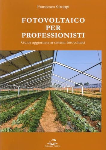 Fotovoltaico per professionisti. Guida aggiornata ai sistemi fotovoltaici