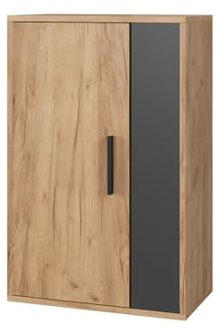Vicco Hängeschrank Berno, Goldkraft Eiche/Anthrazit, 50.1 x 78.4 cm | mit 2 Fächern, zur Wandmontage geeignet für vielseitige Aufbewahrung