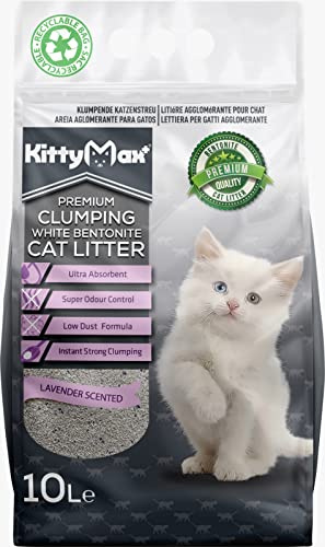 KittyMax Klumpstreu Katzenstreu-Super Premium Lavendel 2 x 10L 100% Bentonite
