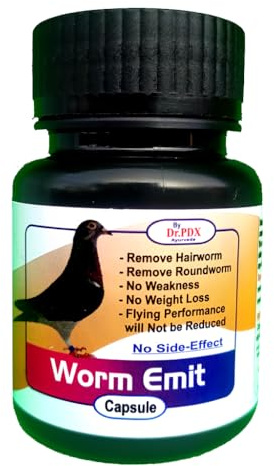 Pigeon Vermifuge Médicament anti-pigeons anti-pigeons 100 capsules