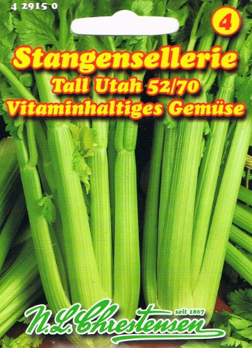 Stangensellerie Tall Utah/ Claret (Portion)