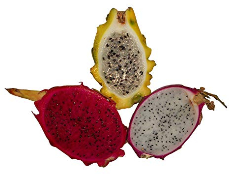 Pitahaya Drachenfrucht Mix 48 Samen ***3 Verschieden Drachenfrucht Arten***+ (Anleitung zur Aufzucht)