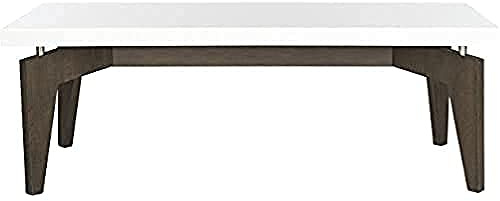 Safavieh EAF4223A Dalby Table Basse en Laque Fibre Blanc/Chocolat 109 x 59 x 38,1 cm