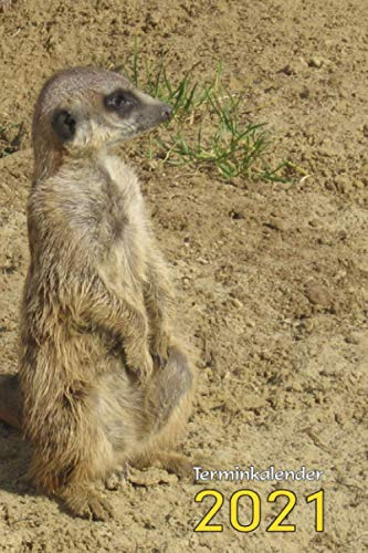 Terminkalender 2021 Erdmännchen - Termin Organizer, Planer, Schülerkalender, Wochenplaner mit Erdmännchen Foto: Terminplaner - 120 Seiten Kalenderbuch ... Erdmännchen Geschenk, Erdmännchen Merch