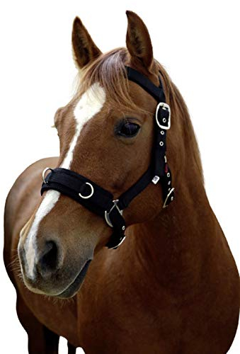 Kerbl Longiergürtel aus Kunststoff – Halfter, Schwarz, Unisex, Longierhalfter aus schwarzem Kunststoff, VB, Schwarz