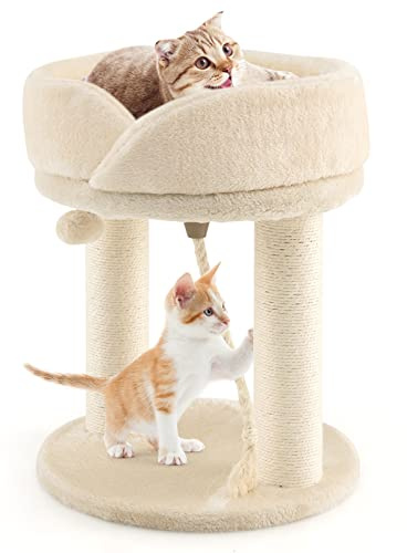 GYMAX Katzenbaum 50,5 cm hoch, Kratzbaum mit Katzenhaus & Hängende Kugel, Katzen Kratzbaum mit Sisal-Säule & Schwämme, Kletterbaum mit verstärkte Grundplatte, für Zuhause & Tierhandlung (Beige)