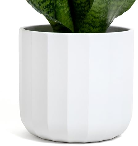 Vimin Box Vase élégant en Terre Cuite | Vert Menthe à facettes | Vase décoratif pour intérieur et extérieur | pour Plantes, Fleurs et bonsaï | Classique et Moderne (Blanc Mat, Ø 13,5 cm)