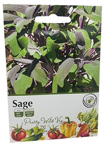 Sage Herb Seeds in Pictorial Packet from a UK Seller