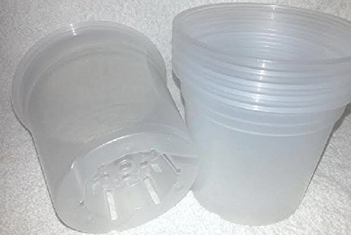 Teku Pack of 6 x Orchid pot 15cm