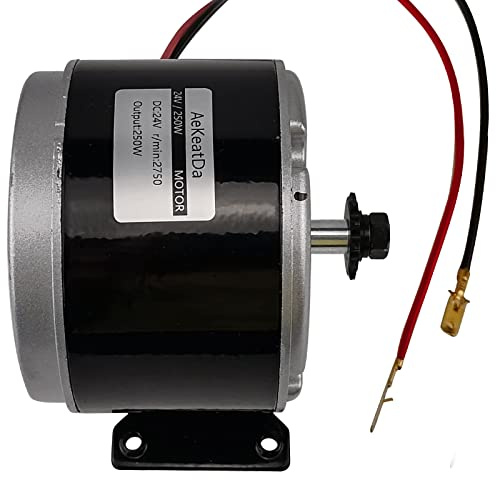 AeKeatDa Generador de motor eléctrico con imán permanente de 24 V, 250 W, pequeño imán permanente cepillado