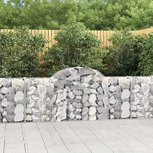 TANZEM Gabionen mit Hochbogen 2 STK Gabionenkörbe, Gabionen Hochbeet, Steinkorb, Gabionengitter, Drahtkorb Für Pflanzen, Kräuterspirale Für Garten, 200x30x80/100 cm Verzinktes Eisen
