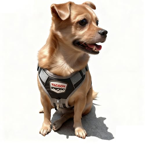 Ditwis Pettorina Cane Taglia Media, Imbracatura Regolabile per Cani, Antifuga e dotata di due tasche, Traspirante per Addestramento e Passeggiate, M, Nera