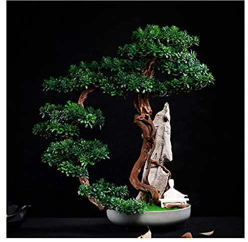 Künstliche Klippe, Zypresse, Willkommensgäste, Songke, Bonsai, Klippe, Wand, Weben, Steingarten, Podocarpus, Ahornblatt, Büro, Wohnzimmer, Zen, Topfornamente, künstliche Zimmerpflanzen (Farbe: C)