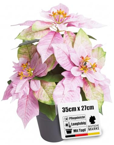 künstliche Poinsettia (Weihnachtsstern) pink mit 3 Blüten im schwarzen Kunststofftopf, Höhe ca. 35 cm – die Kunstblume Poinsettie sorgt zwischen Weihnachtsdekorationen für festliche Stimmung