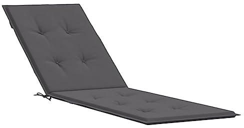 vidaXL Liegestuhl Auflage, Polster Auflage für Deckchair, Polsterauflage für Gartenliege, Liegenauflage Outdoor, Anthrazit (75+105) x50x4cm