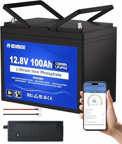 DCHOUSE Batteria LiFePO4 12V 100Ah con Bluetooth, Caricabatterie 10A e Protezione Bassa Temperatura, BMS 100A, fino a 15000 Cicli, per Camper, Motori Elettrici e Solare