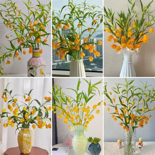 Semillas de Sandersonia aurantiaca, silvestres Semillas de lirio de linterna, Variedades antiguas Decoración de sala de estar perennes 150pcs