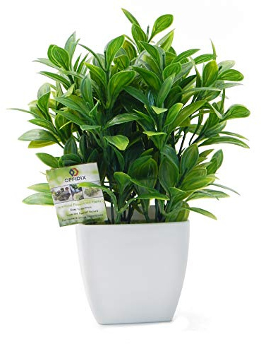 OFFIDIX Künstliche Pflanzen, Mini-Eukalyptus aus Kunststoff, mit quadratischer Vase für Schreibtisch, Heimtextilien, künstliche Pflanze mit Kunststofftöpfen für Heimdekoration