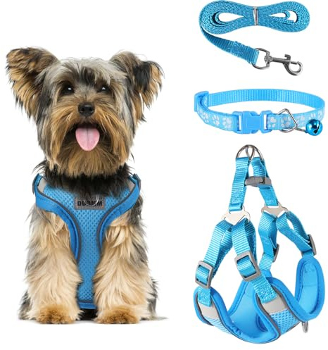 FINEASY Hundegeschirr mit Leine, Reflektierend, Hundegeschirr Kleine Hunde, Sicherheitsgeschirr Hund Ausbruchsicher, Brustgeschirr Hund, Geschirr für Haustiere, Katzen, Klein, Welpen, Blau (S)