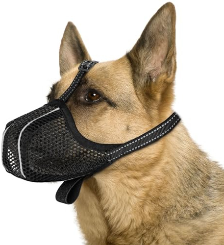 Maulkorb Mittlere Hunde, Prevent Fressen/Kauen/Beißen Hunde Maulkorb, Atmungsaktiv Reflektierende Einstellbare mittlere Hund (M)