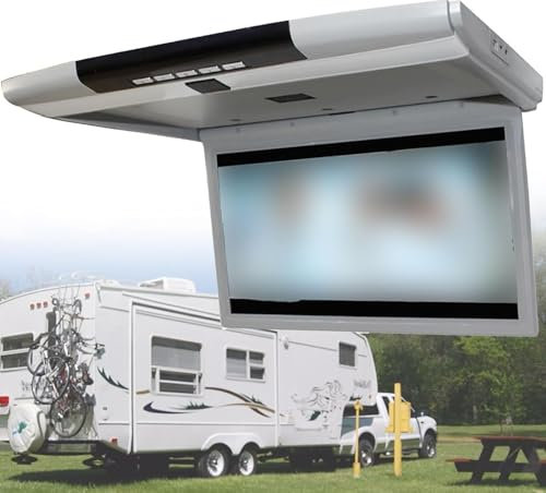 1080P Car Video Player, 17.3 Inch HD Wide Screen Car Overhead Roof Mounted Monitor Ultra-Thin Flip Down TV for Cars Support FM/IR/USB/SD/HDMI Input (No DVD Drive),Grey