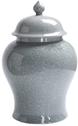 ZHOUXIAO Vases en céramique Jar en Gingembre en Argent avec Couvercle pour décoration intérieure, Ancienne Chinois en Porcelaine de Chinoise B