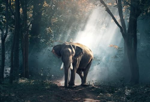 Elefant im Wald – 6000-teiliges Holzpuzzle – Spiele für Erwachsene, Puzzles, Puzzle-Geschenke für Frauen