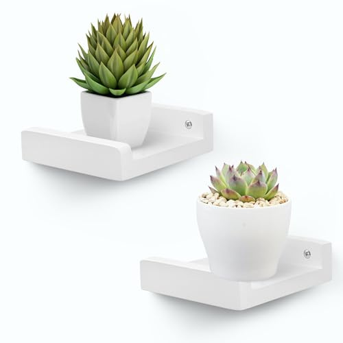 FURAOMEILI Piccoli scaffali da parete, mini mensole sospese con bordo, per altoparlanti, set di 2 cornici per piante, decorazione per soggiorno, cucina, camera da letto, legno, 13 cm, bianco